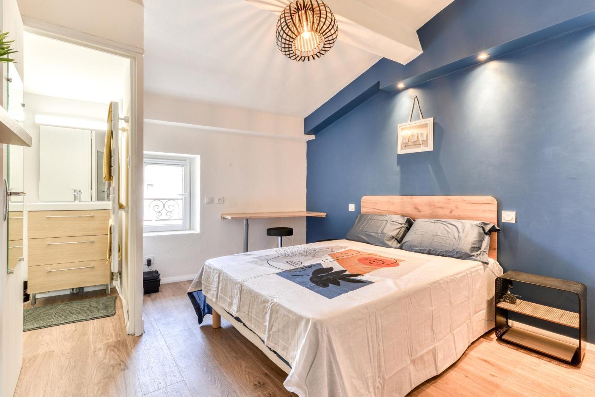 Cote Palais 2-climatise-netflix-fibre * Carcasona